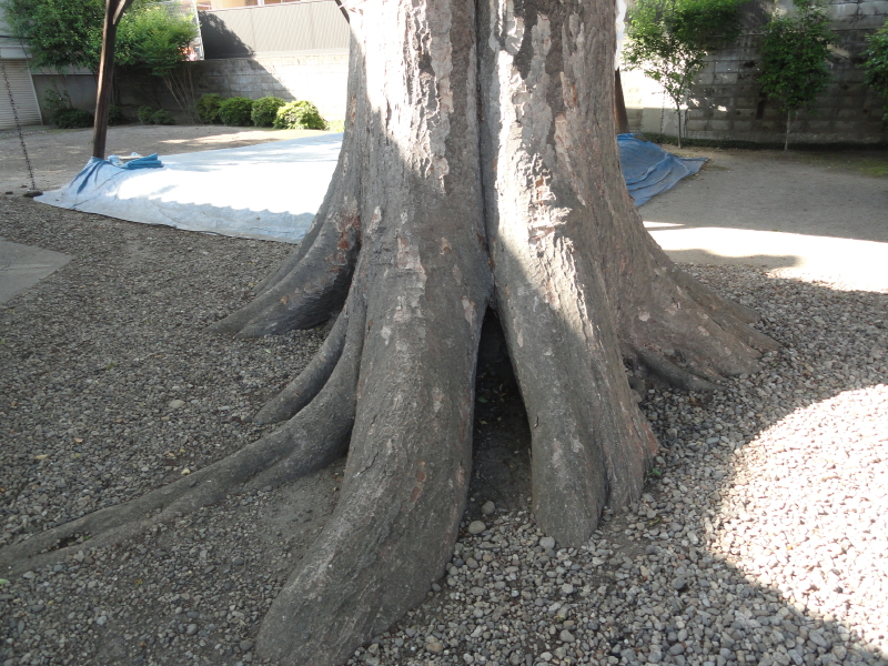 img0010.jpg
