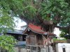 img0006.jpg