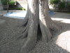 img0010.jpg