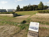 img0013.jpg