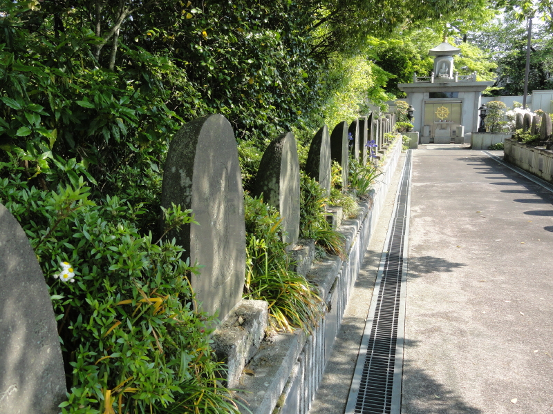 img0027.jpg