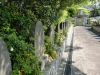 img0027.jpg