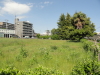 img0032.jpg
