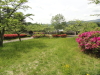img0001.jpg