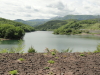 img0007.jpg