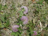 img0012.jpg