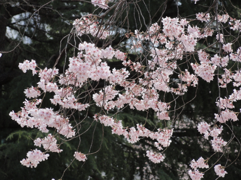 img0002.jpg