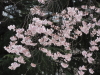 img0002.jpg