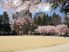 img0004.jpg
