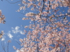 img0010.jpg