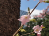 img0011.jpg