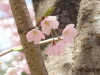 img0019.jpg