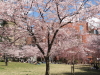 img0020.jpg