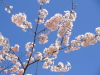 img0023.jpg