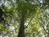 img0003.jpg