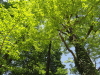 img0006.jpg