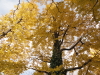 img0016.jpg
