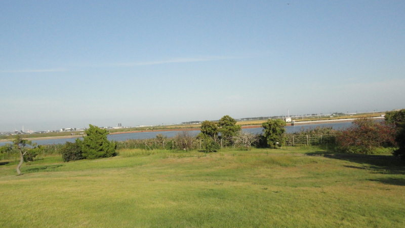 img0008.jpg