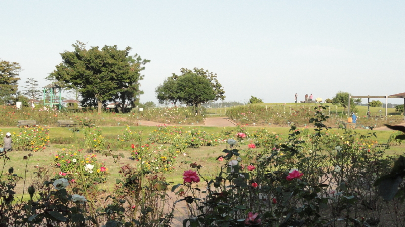 img0014.jpg