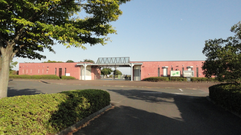 img0017.jpg