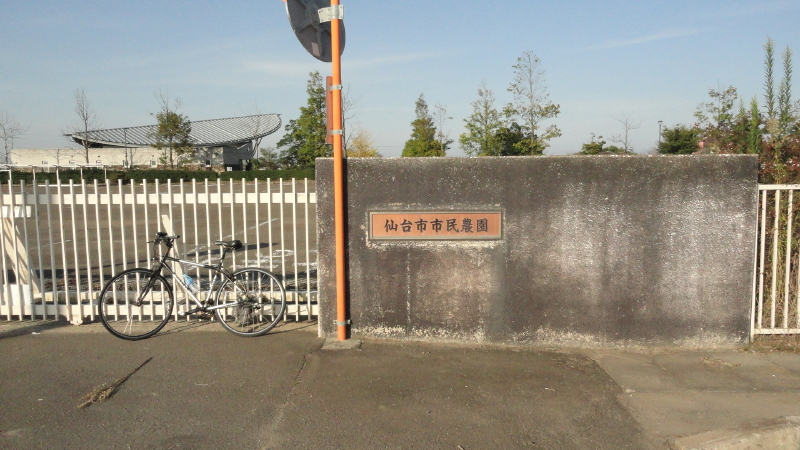 img0020.jpg