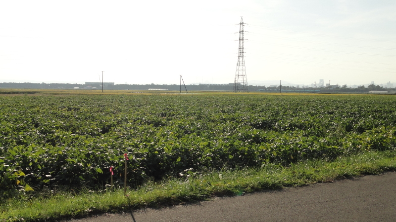 img0026.jpg