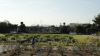 img0010.jpg