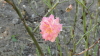 img0012.jpg