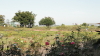 img0014.jpg
