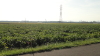 img0026.jpg