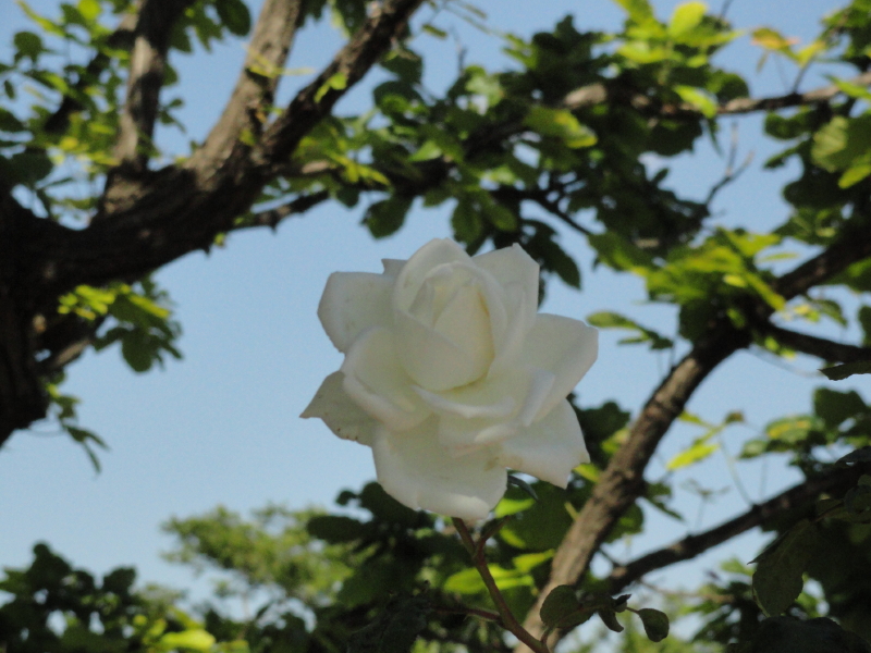 img0014.jpg