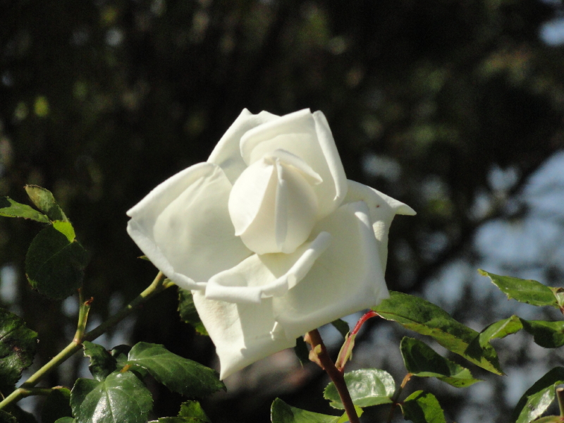 img0016.jpg