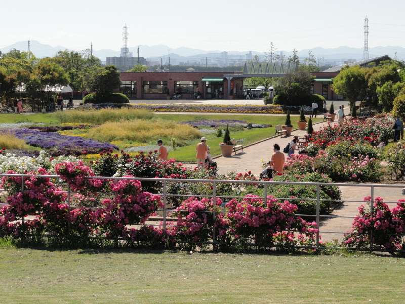 img0028.jpg