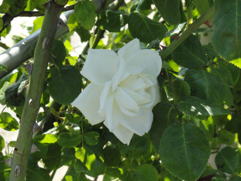img0032.jpg