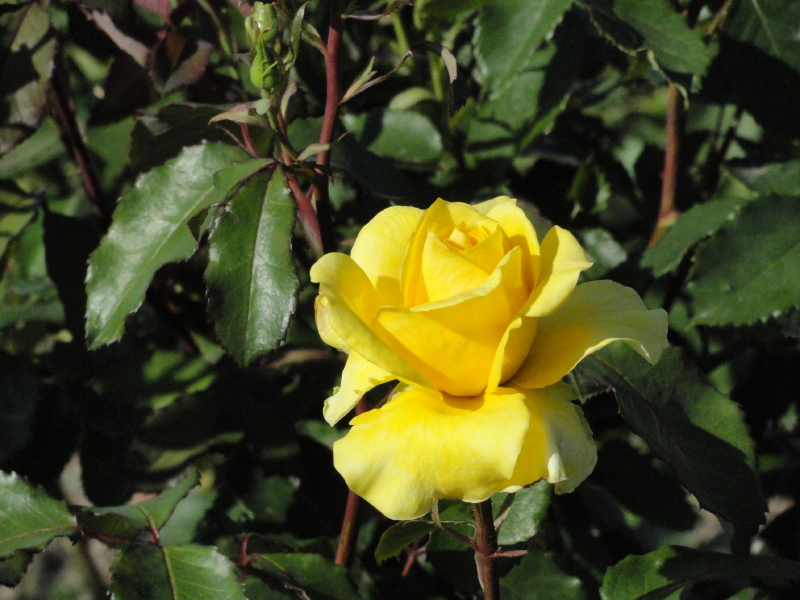 img0044.jpg