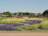 img0001.jpg