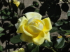 img0005.jpg