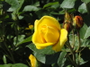 img0006.jpg