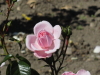 img0007.jpg