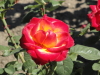 img0013.jpg