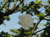 img0014.jpg