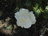 img0015.jpg