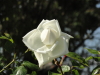 img0016.jpg