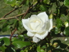 img0021.jpg