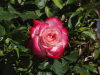 img0022.jpg