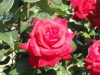 img0024.jpg