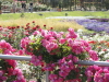 img0029.jpg