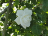 img0032.jpg