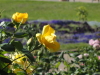 img0041.jpg