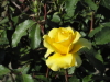 img0044.jpg